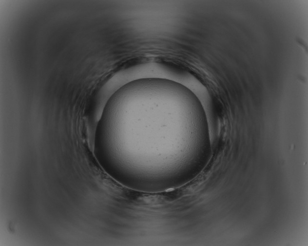 X0000093150417200710171355