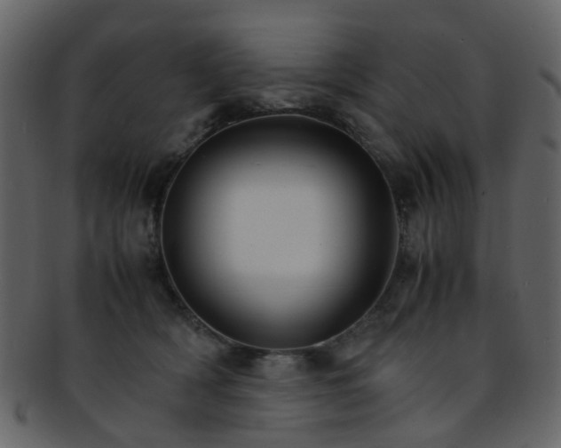 X0000093150418200710171355