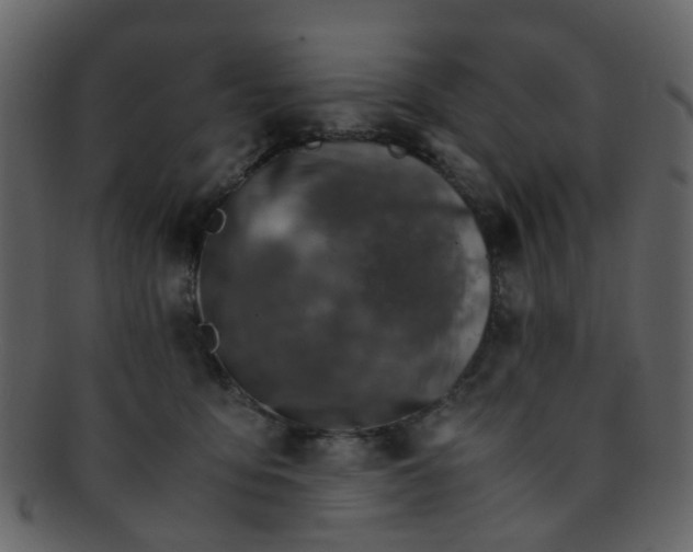 X0000093150419200710171355