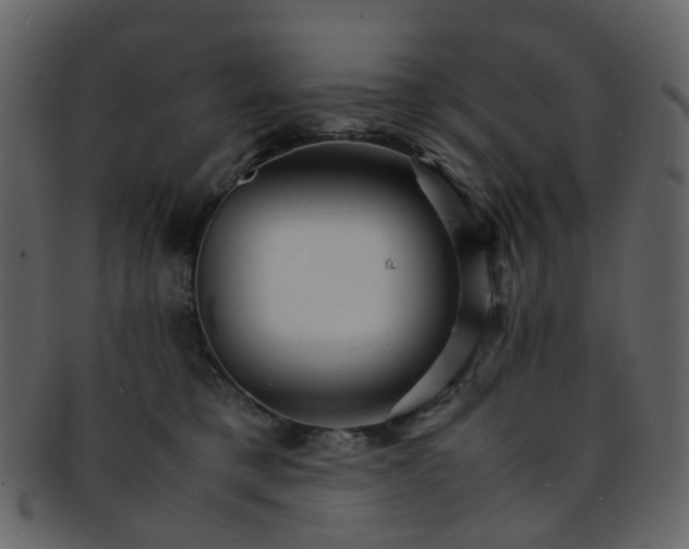 X0000093150421200710171355