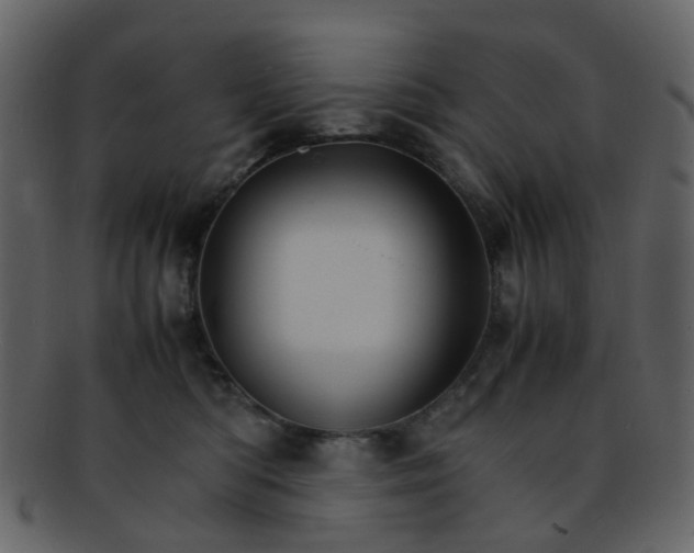 X0000093150422200710171355