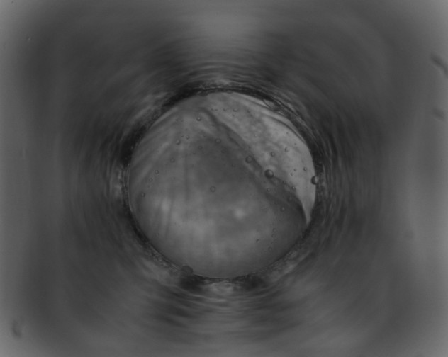 X0000093150423200710171355