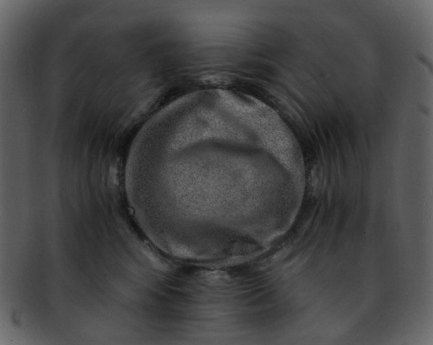 X0000093150424200710171354