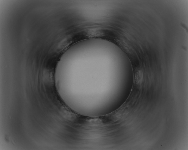 X0000093150426200710171354