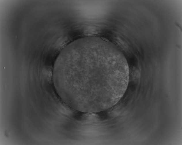 X0000093150427200710171354