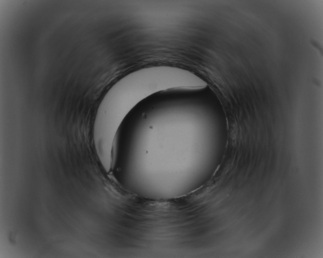 X0000093150428200710171354