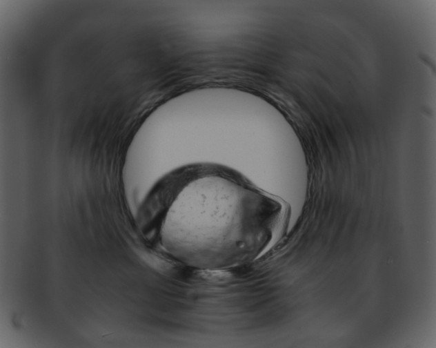 X0000093150429200710171354