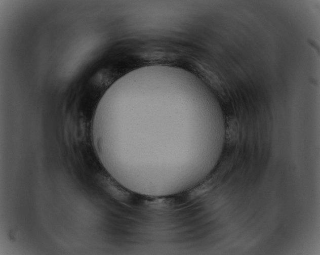 X0000093150430200710171354