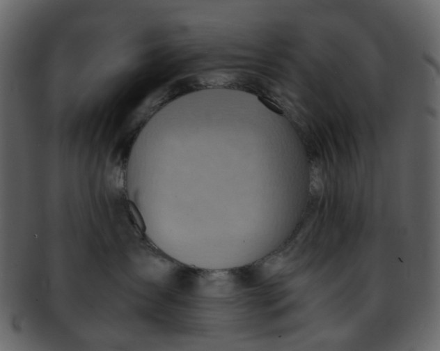 X0000093150431200710171354