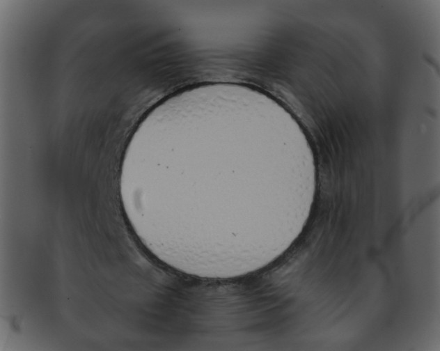 X0000093150433200710171354