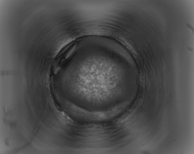 X0000093150434200710171354