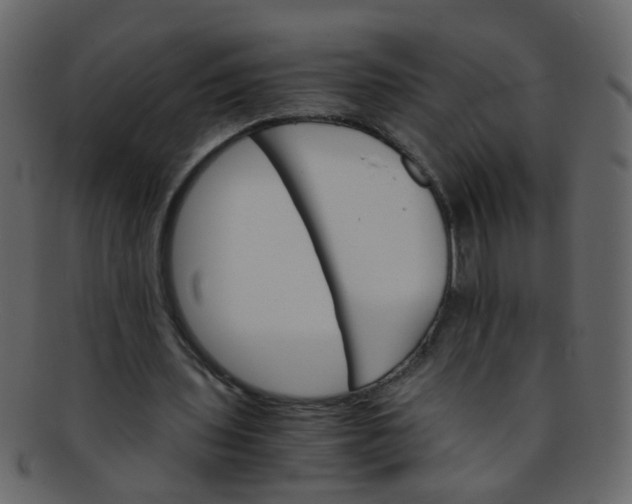 X0000093150435200710171354