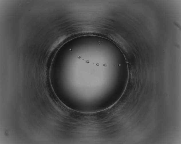 X0000093150436200710171354