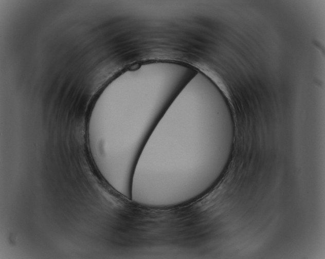 X0000093150437200710171354