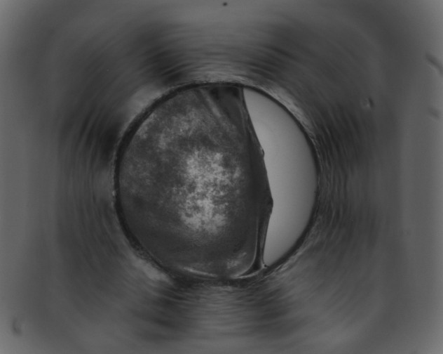 X0000093150438200710171354