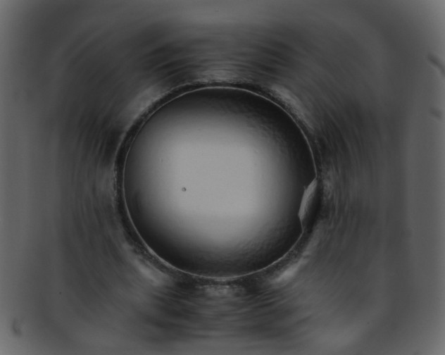 X0000093150439200710171354