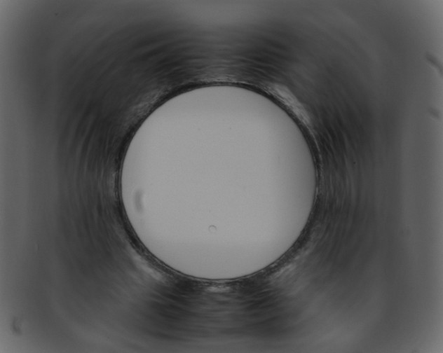 X0000093150441200710171354