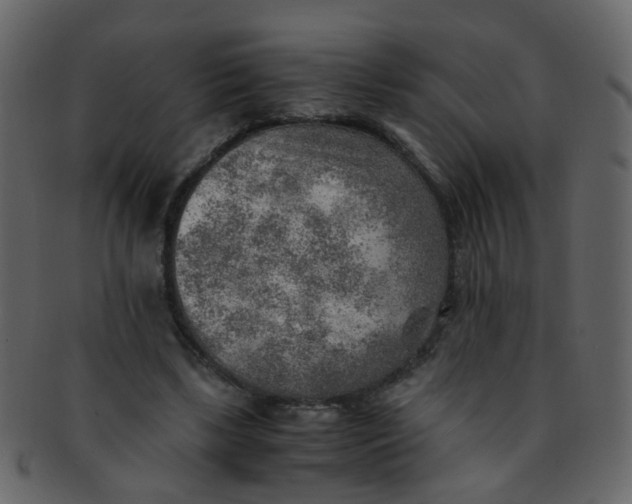 X0000093150443200710171354