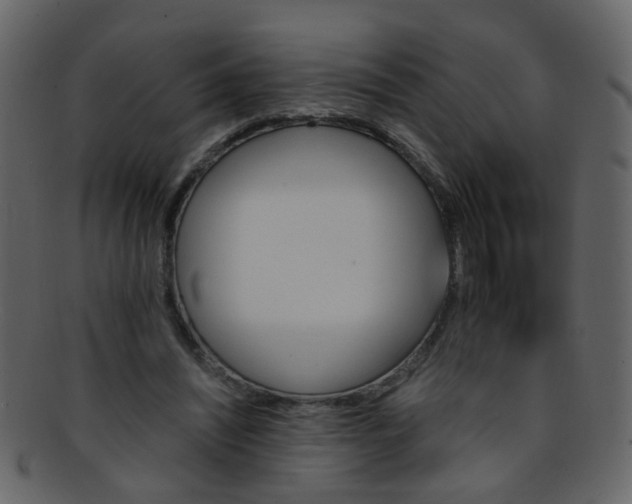 X0000093150444200710171354