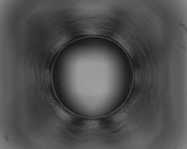 X0000093150445200710171354