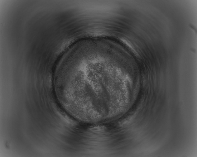 X0000093150447200710171354