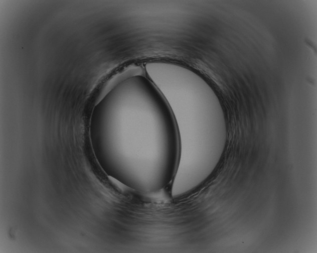 X0000093150448200710171354