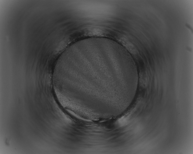 X0000093150449200710171354