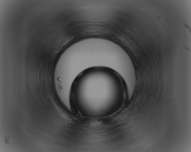 X0000093150456200710171354