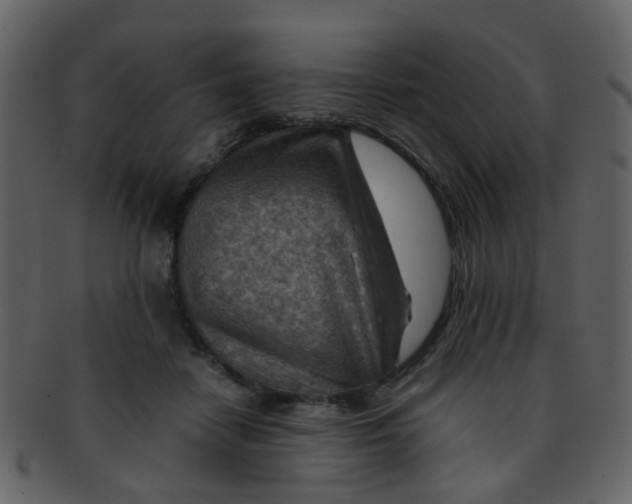 X0000093150458200710171354