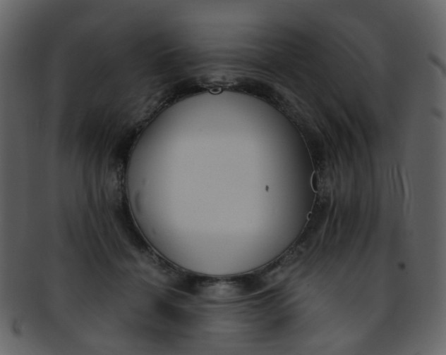 X0000093150460200710171354