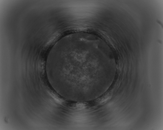 X0000093150462200710171354