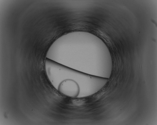 X0000093150465200710171354