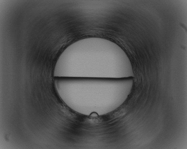 X0000093150466200710171354