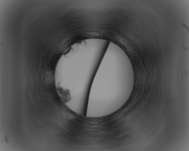 X0000093150467200710171354