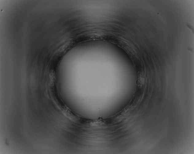 X0000093150468200710171354