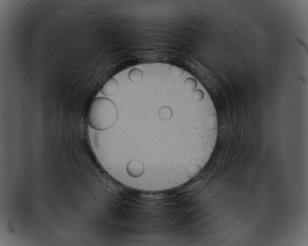 X0000093150469200710171354