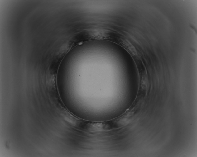 X0000093150473200710171354