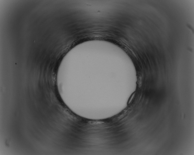 X0000093150476200710171354