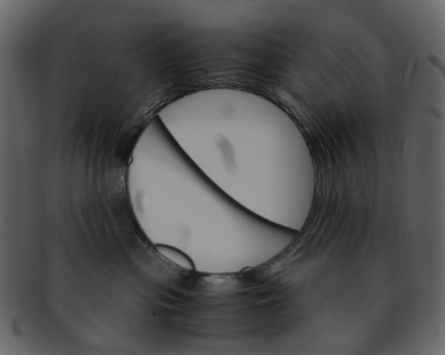 X0000093150477200710171354