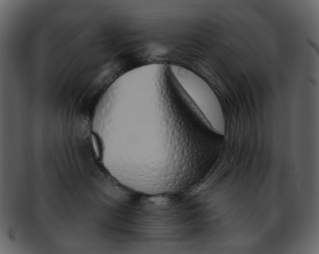 X0000093150478200710171354