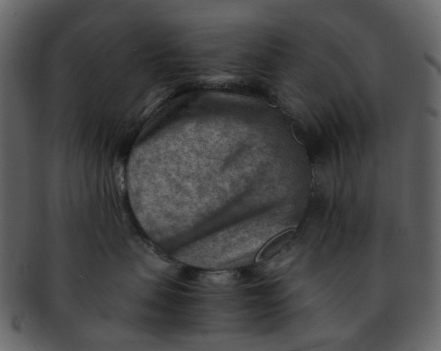 X0000093150479200710171354