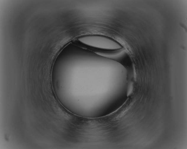 X0000093150481200710171354