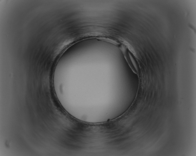 X0000093150482200710171354