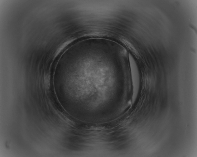 X0000093150484200710171354