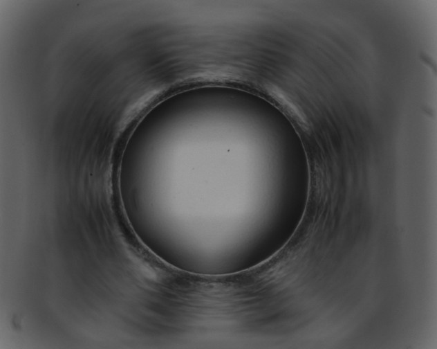 X0000093150486200710171354