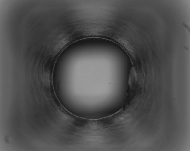 X0000093150489200710171354