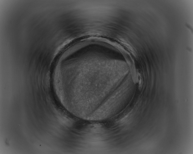 X0000093150492200710171354