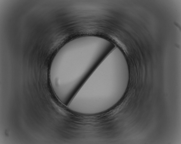 X0000093150493200710171354