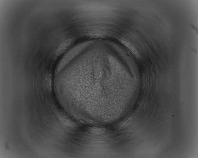 X0000093150494200710171354