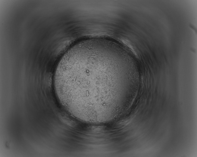 X0000093150495200710171354